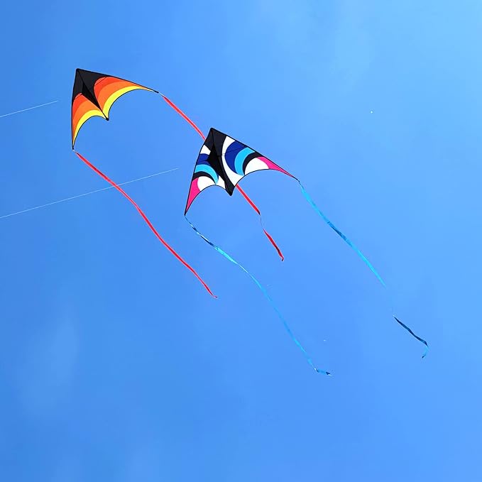 Delta Kite for Kids & Adults - Easy to Fly Large Single Line Beach Kite with 300ft String Handle