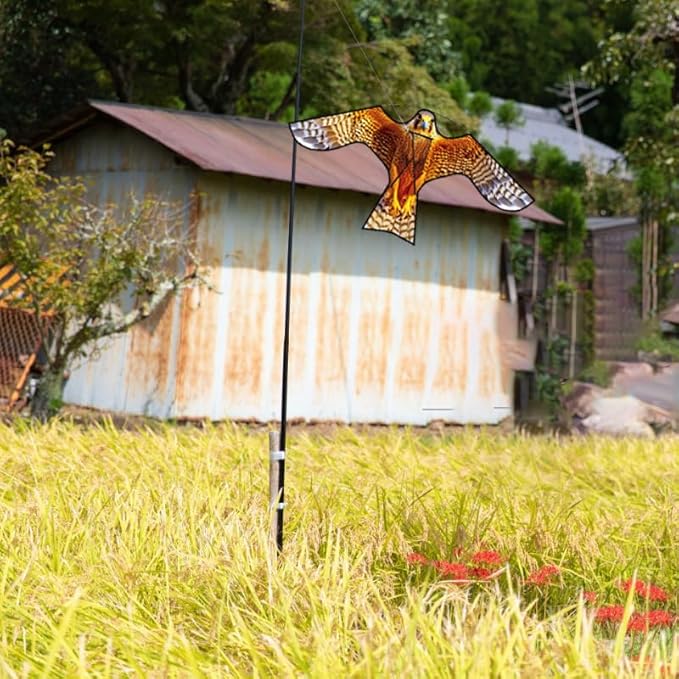 HENGDA KITE Bird Hawk Flying Kite with Pole Crops Farm Protector Bird Scarer Flying Kite with 4m