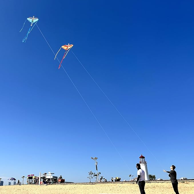 Mint's Colorful Life Dragon Kite for Kids & Adults, Easy to Fly Best Beach Kites for Beginners
