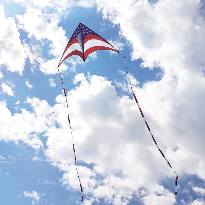 Mint's Colorful Life Delta Kite for Kids & Adults, Extremely Easy to Fly Kite, Best Kites for