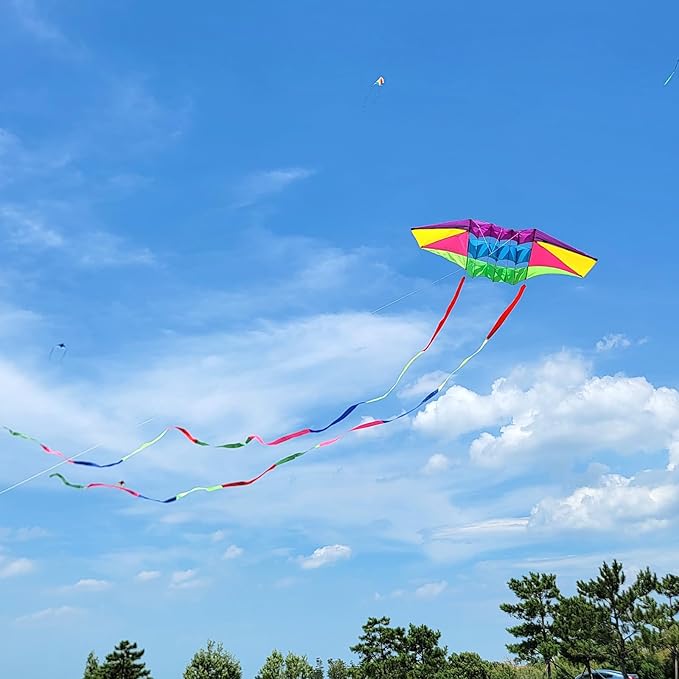 Beach Kites for Adults Large with Long Tail, 98 inches Super Easy Flyer 3D Rainbow Box Kites, Comes