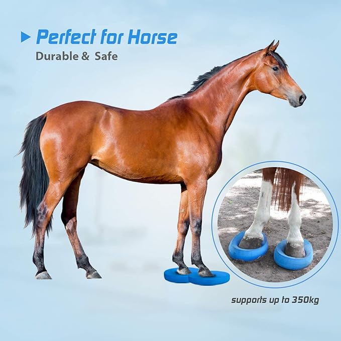 Foam Balance Pad(Large or XL),5BILLION Stability Pad for Physical Therapy,Non-Slip Exercise Balance