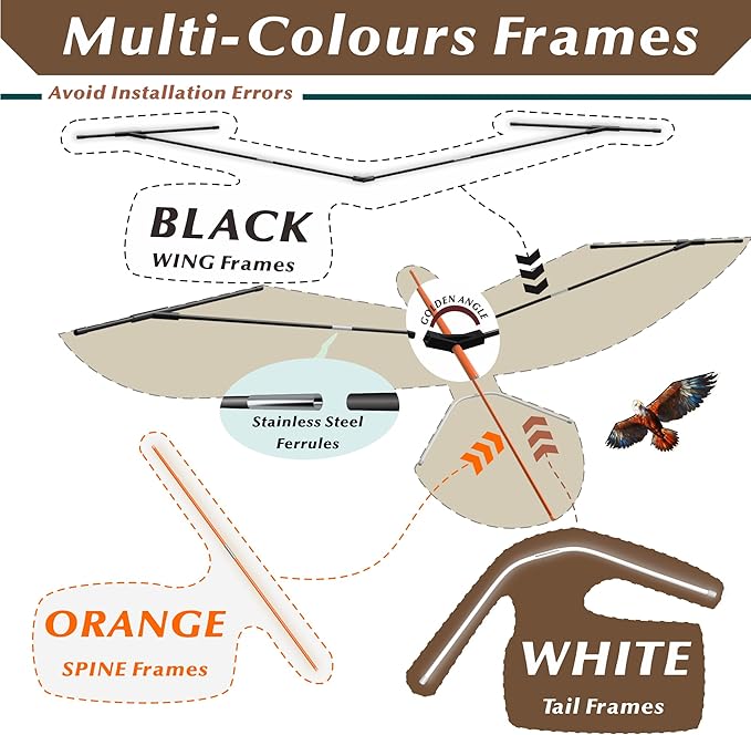ORGCLDKT- 3D Lifelike Style Bird/Eagle Kite, Super Easy to Fly with, Ideal for Kids, Adults, Girls