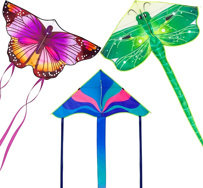 Large Kites for Adults Kites for Kids Ages 4-8, 8-12 Beach Park Outdoor Game Activities, Gifts for