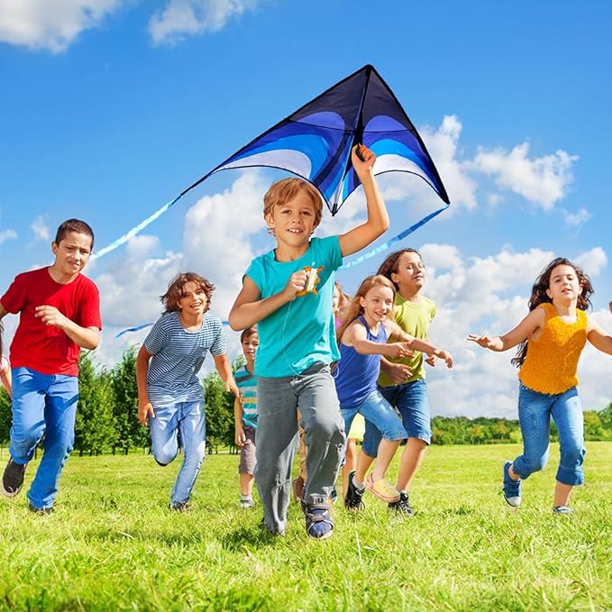Blue Delta Kite Easy to Fly,Beach Trip Outdoor Games Single Line String with Tail,Easy Flying