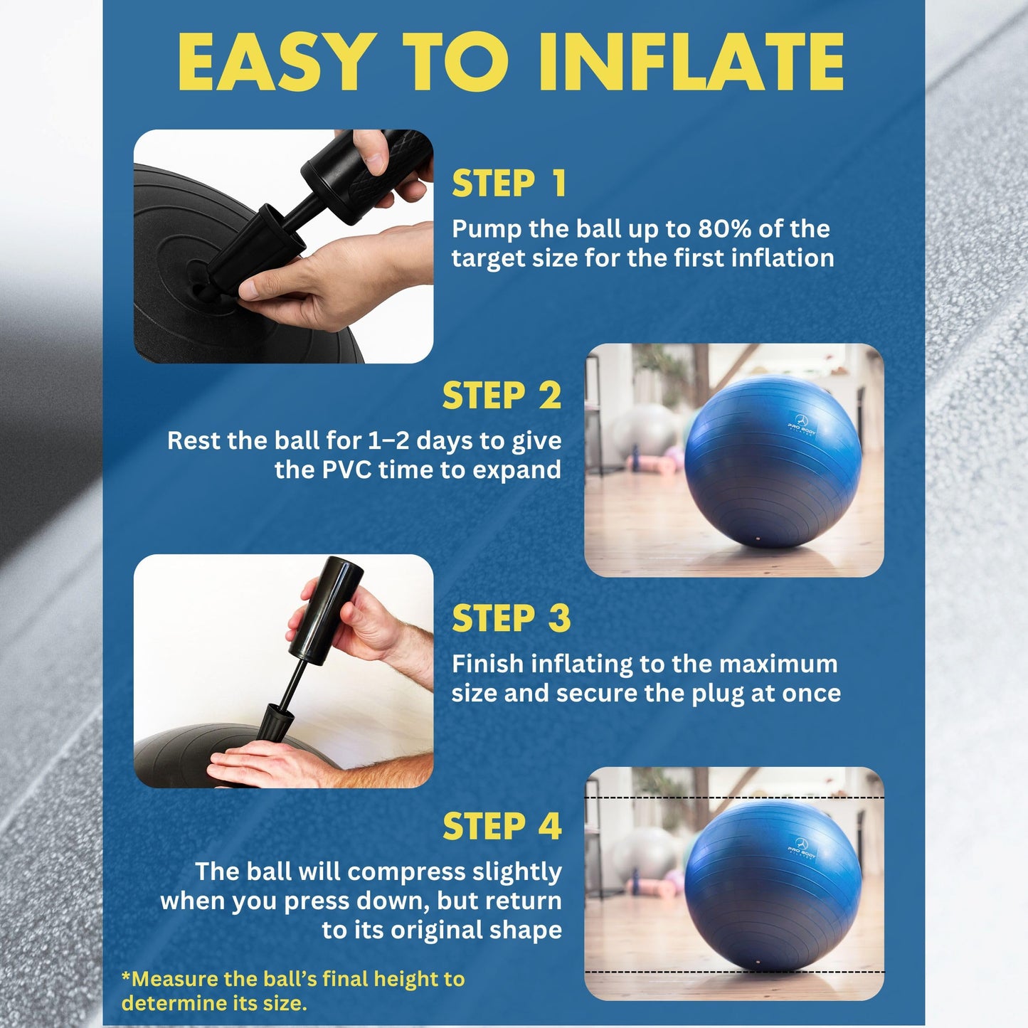 ProBody Pilates Yoga Ball - Gym Grade Exercise Ball (Blue, 65cm)