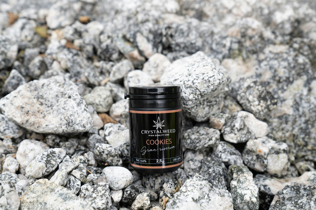 Is Creatine Safe for Long Term Use
