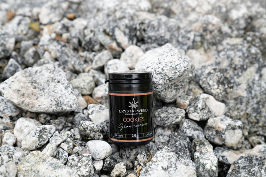 Is Creatine Safe for Long Term Use