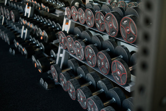 Neatly arranged dumbbell pairs stored on a metal rack in a home gym