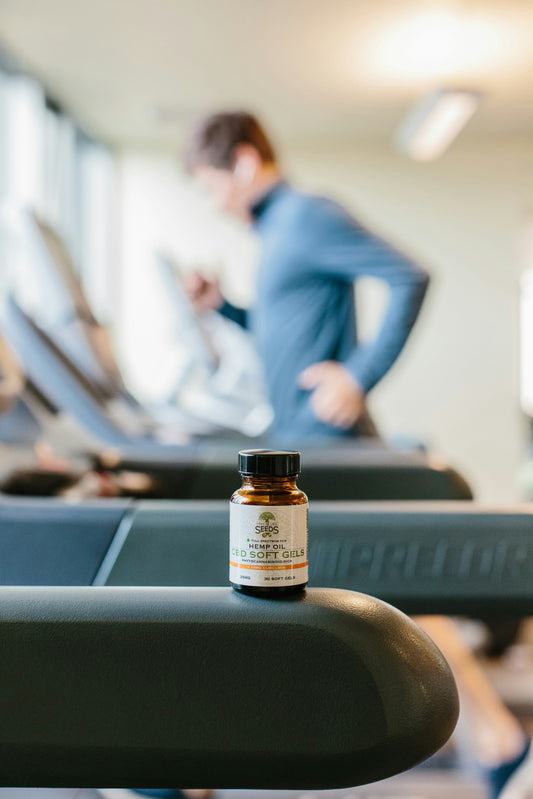How to Choose the Best Creatine Supplement