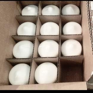 D'light Online 3 X 6 Inch Pillar Candles Set of 12 Bulk Event Pack Round Unscented Premium Wax