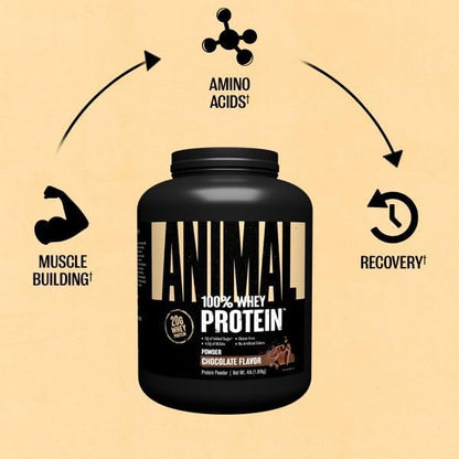 Animal 100% Whey Protein Powder ??Whey Blend for Pre Workout or Post Workout, Recovery, or an