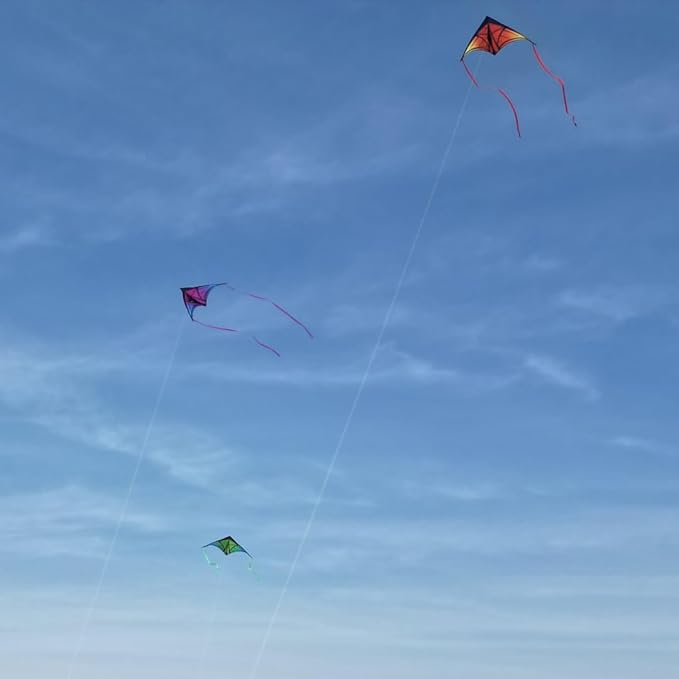 Large Delta Kite for Kids & Adults - Easy to Fly Outdoor Kites for Kids Ages 8-10, Perfect for