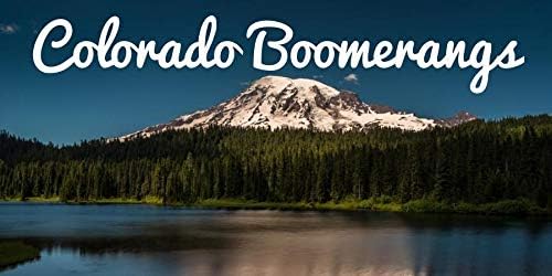 Blue Speed Racer Fast Catch Boomerang - Returning Boomerangs for Boomerang Athletes. Beginning