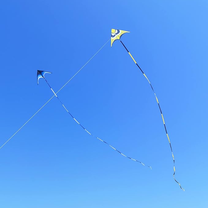 Delta Kite for Kids & Adults - Easy to Fly Large Single Line Beach Kite with 300ft String Handle