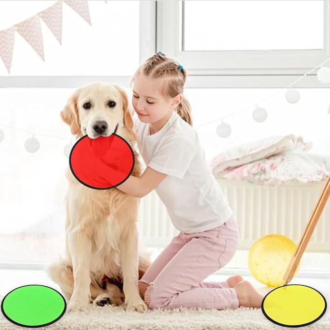 10 PCS Foldable Flying Disc Fans Set with Bag Folding Pocket Beach Flying Disc for Party Favors