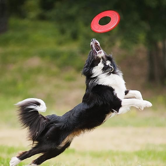 Nerf Dog Atomic Flyer Outdoor Dog Toy, 10 Inch Flying Disc Dog Fetch Toy, Rubber Dog Toy for Medium