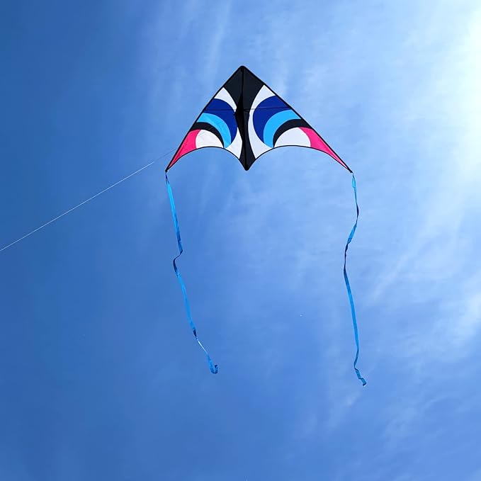 Delta Kite for Kids & Adults - Easy to Fly Large Single Line Beach Kite with 300ft String Handle