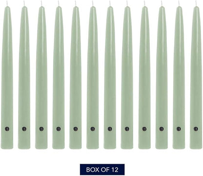 Colonial Candle Unscented Taper Candle, Handipt Collection, Colonial Classic Green, 10 in, Pack of