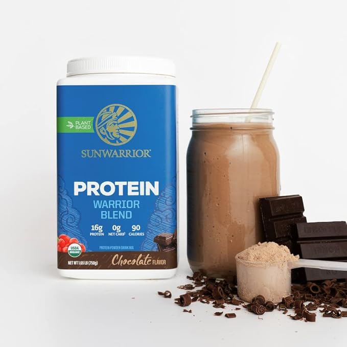 Organic Plant Based Protein Powder | Vegan Organic Protein Powder Chocolate Flavored with BCAA