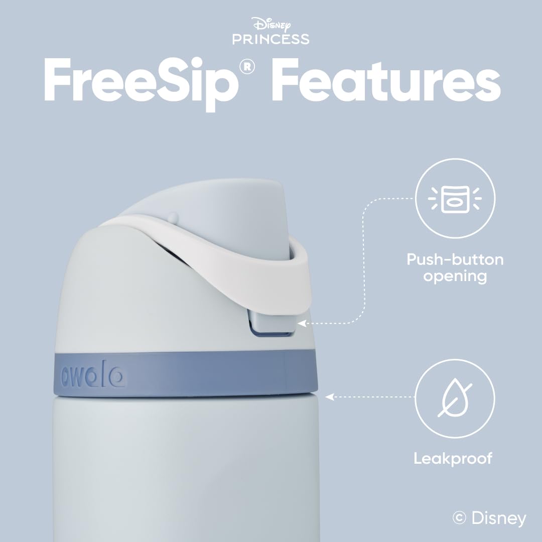 Owala Princess FreeSip Stainless Steel Water Bottle 24 oz Cinderella