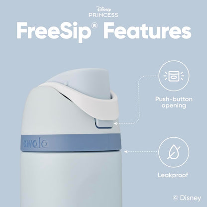 Owala Princess FreeSip Stainless Steel Water Bottle 24 oz Cinderella