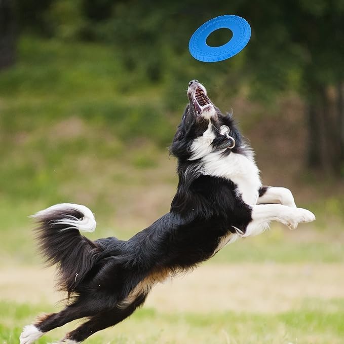 Nerf Dog Tire Flyer Outdoor Dog Toy, 10 Inch Flying Disc Dog Fetch Toy, Rubber Dog Toy for Medium