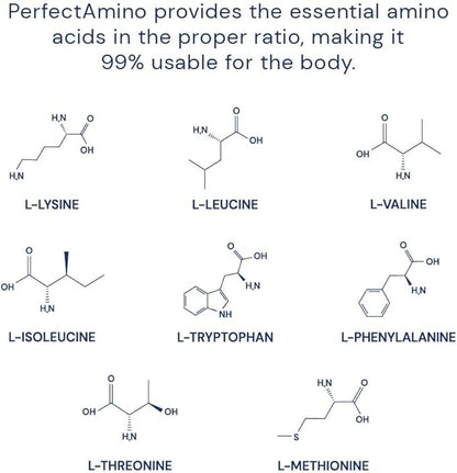 BodyHealth PerfectAmino Powder - BCAA and EAA Powder for Pre and Post Workout - Amino Acid Energy