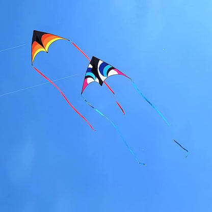 Delta Kite for Kids & Adults - Easy to Fly Large Single Line Beach Kite with 300ft String Handle