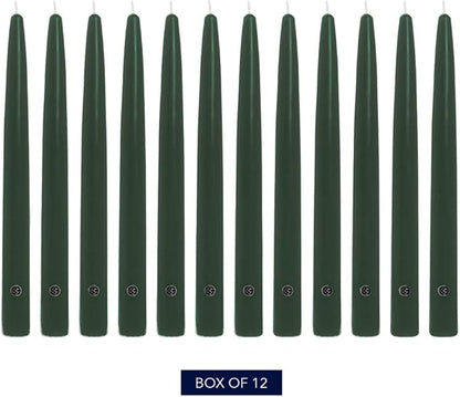 Colonial Candle Unscented Taper Candle, Handipt Collection, Evergreen, 10 in, Pack of 12 - Up to 8