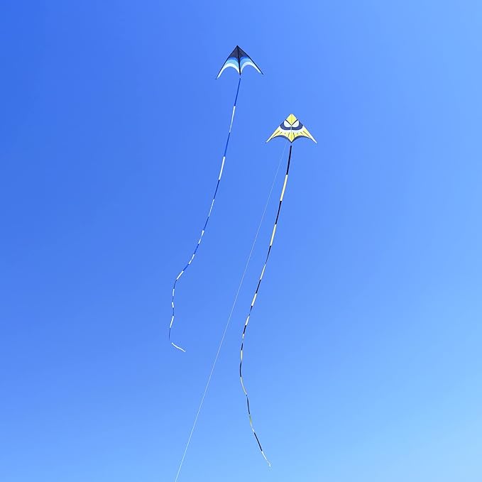 Delta Kite for Kids & Adults - Easy to Fly Large Single Line Beach Kite with 300ft String Handle