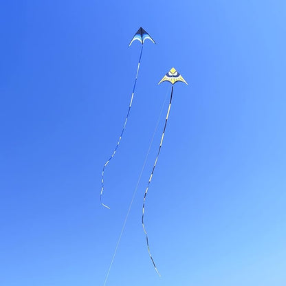 Delta Kite for Kids & Adults - Easy to Fly Large Single Line Beach Kite with 300ft String Handle
