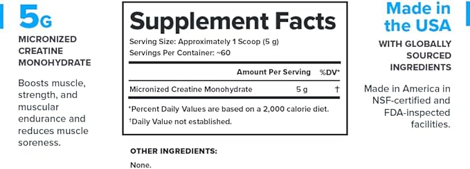 LEGION Micronized Creatine Monohydrate Supplement - Clean Creatine Powder for Muscle Gain & Post