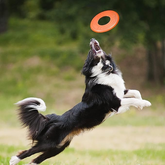Nerf Dog Atomic Flyer Outdoor Dog Toy, 10 Inch Flying Disc Dog Fetch Toy, Rubber Dog Toy for Medium