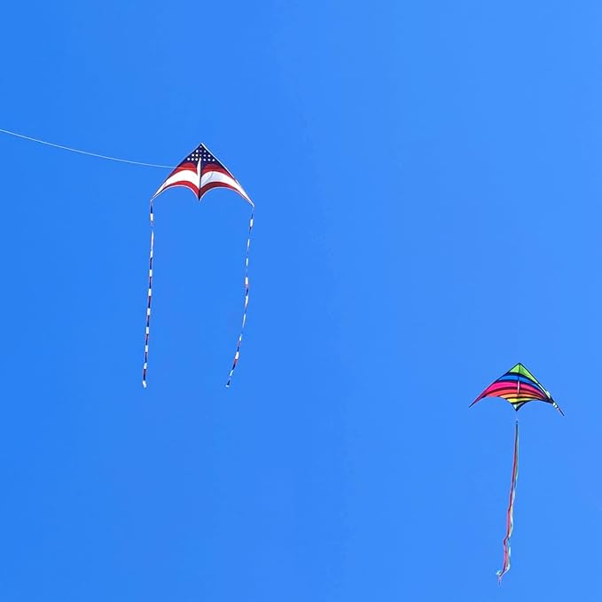 Mint's Colorful Life 60'' Delta Kite With 7.1in Reel Winder, Easy Flying & String Spool for Kids &