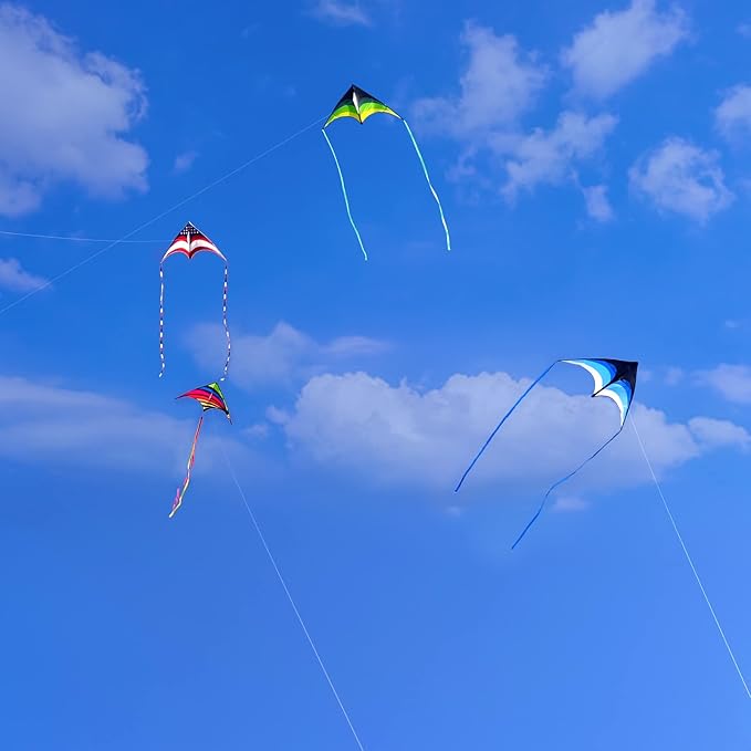 Mint's Colorful Life Delta Kite for Kids & Adults, Extremely Easy to Fly Kite, Best Kites for