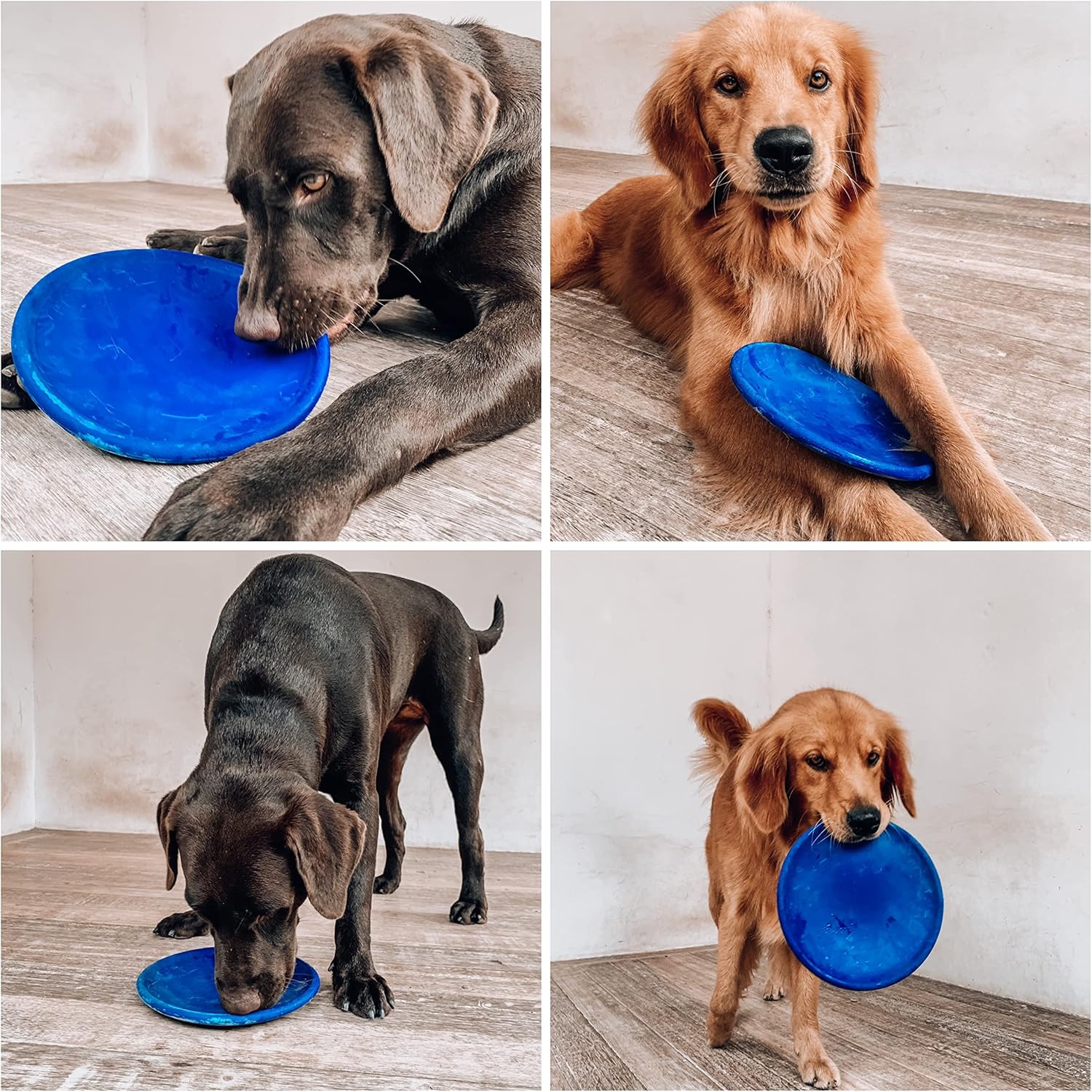 Ultra Durable Rubber Flying Disc Dog Toy for Aggressive Chewers – Heavy Duty Natural Rubber Frisbee
