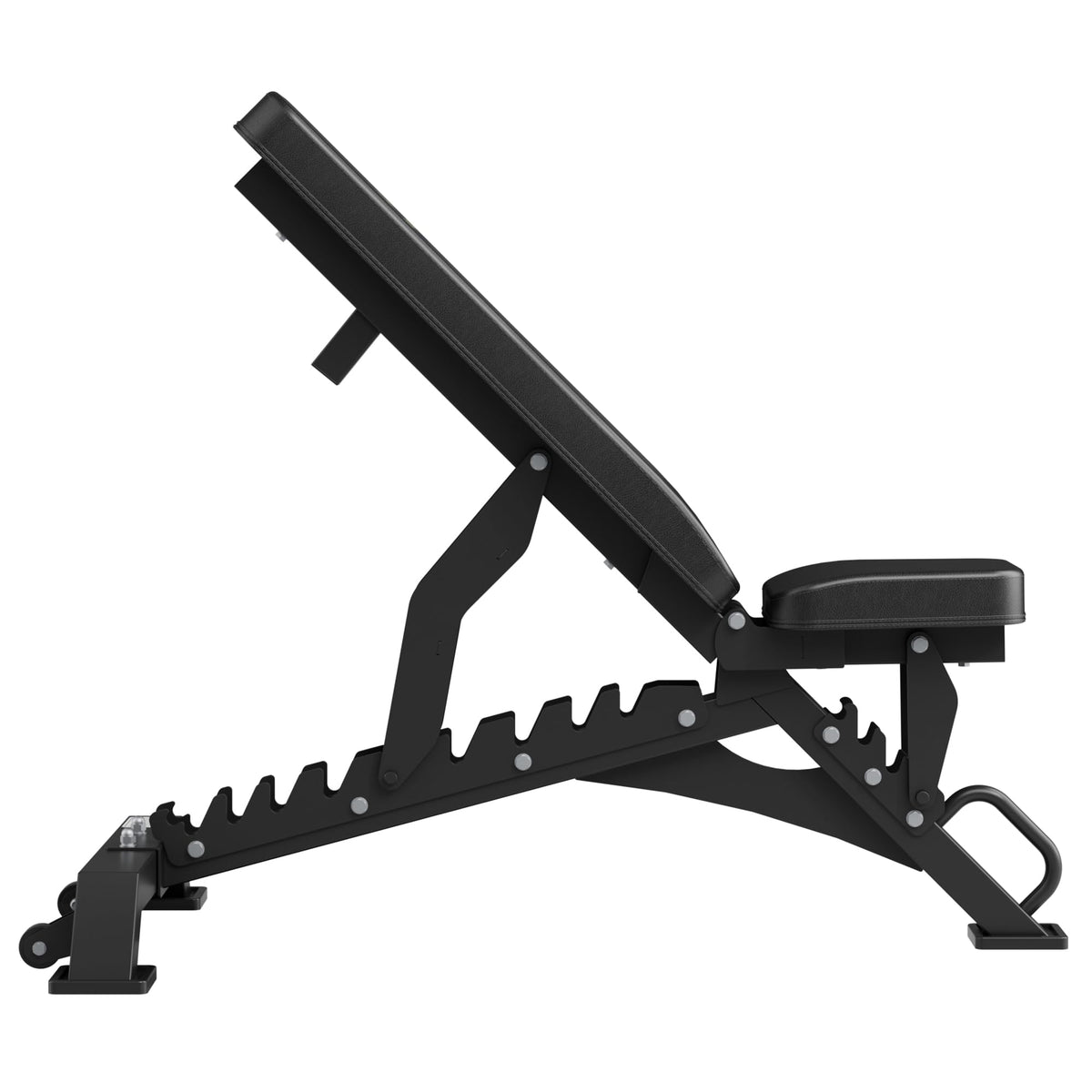 Major Fitness Weight Bench - 1300LBS Weight Capacity and 36 Adjustable Positions Strength Training