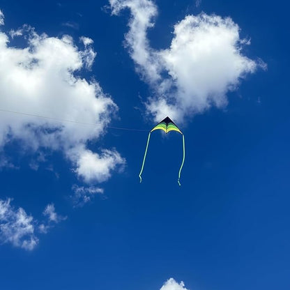 Large Delta Kite Easy to Fly with Kite Reel Set, Beach Kite & Kite Spool for Kids & Adults, Single