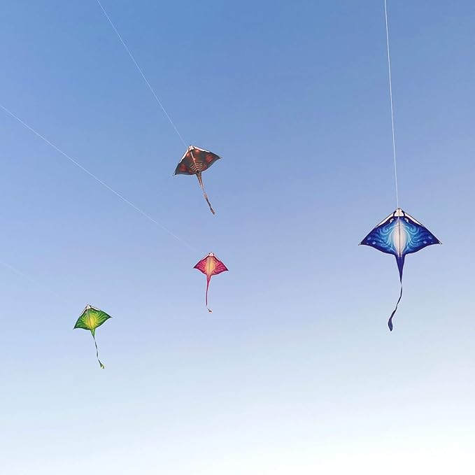 Mint's Colorful Life Devil Fish Kite for Kids and Adults，Easy to Fly Delta Kites Single Line Large