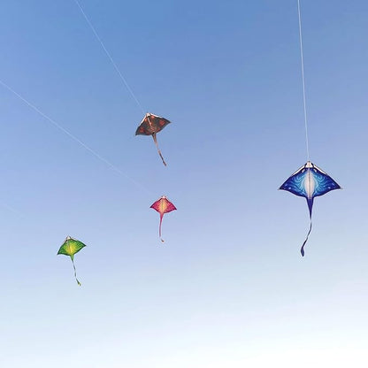 Mint's Colorful Life Devil Fish Kite for Kids and Adults，Easy to Fly Delta Kites Single Line Large