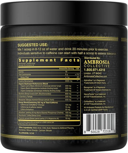 Ambrosia Kinetic Organic Preworkout, Mushroom Enhanced Natural Pre Workout Supplement, Nootropic