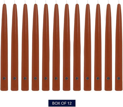 Colonial Candle Unscented Taper Candle, Handipt Collection, Amber, 10 in, Pack of 12 - Up to 8