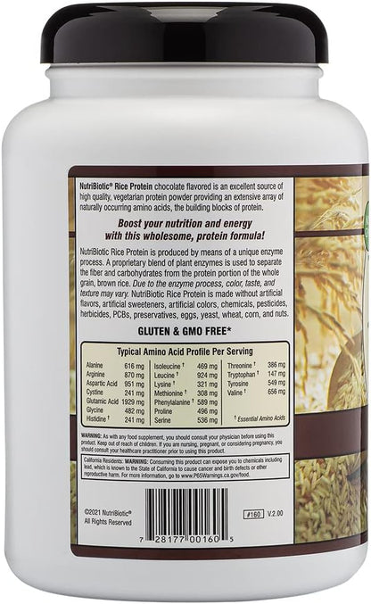 NutriBiotic Chocolate Rice Protein, 1 lb. 6.9 oz | Low Carb, Vegetarian & Keto-Friendly Raw Protein