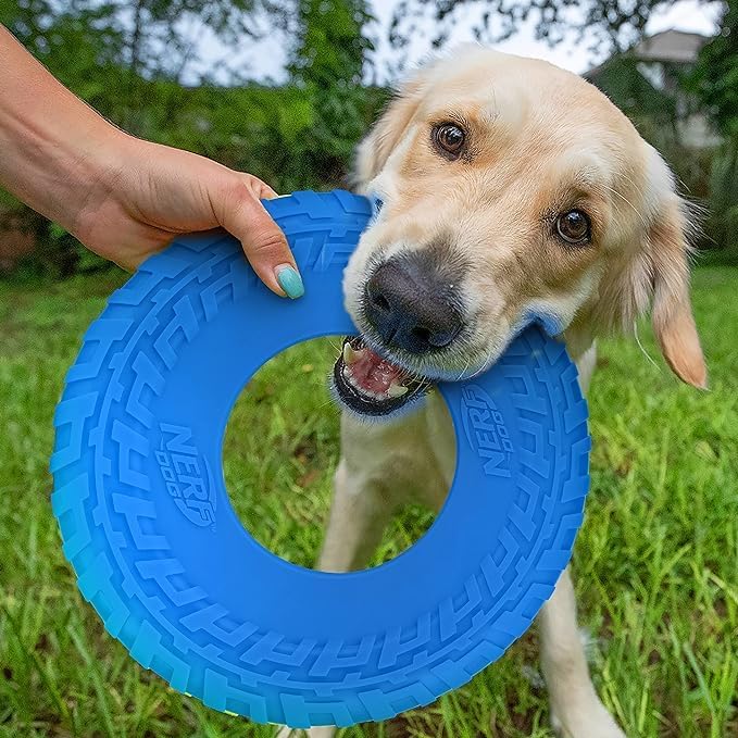 Nerf Dog Tire Flyer Outdoor Dog Toy, 10 Inch Flying Disc Dog Fetch Toy, Rubber Dog Toy for Medium