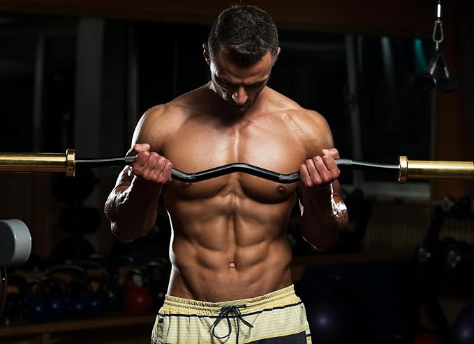 47" Olympic EZ Curl Bar 500-lbs Capacity Steel Barbell Suitable for 2" Weight Plates, 2-Inch Curl