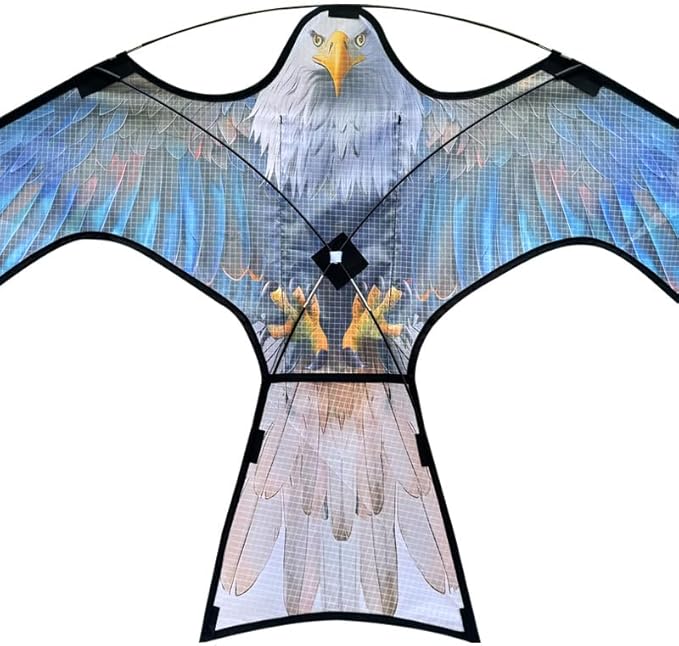 HENGDA KITE Bird Hawk Flying Kite Without Pole for Crops Farm Protector Bird Scarer Flying Kite