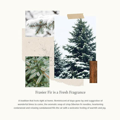 Thymes Frasier Fir Scented Candles for Home Decor - Green Pillar Candles for Women & Men - Place on
