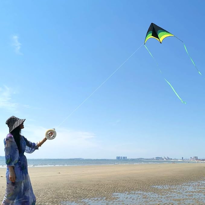 Mint's Colorful Life Delta Kite for Kids & Adults, Extremely Easy to Fly Kite, Best Kites for