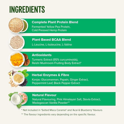 Vivo life Perform Plant Protein Powder - Pea & Hemp Protein Blend with BCAA (34.85 oz, Banana &